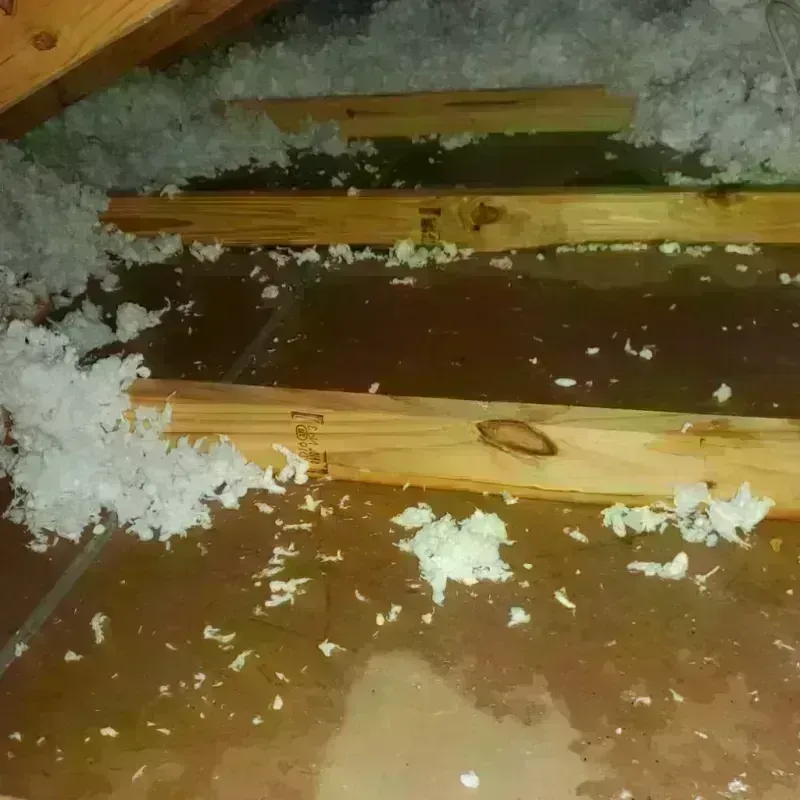 Attic Water Damage in Bonanza, GA